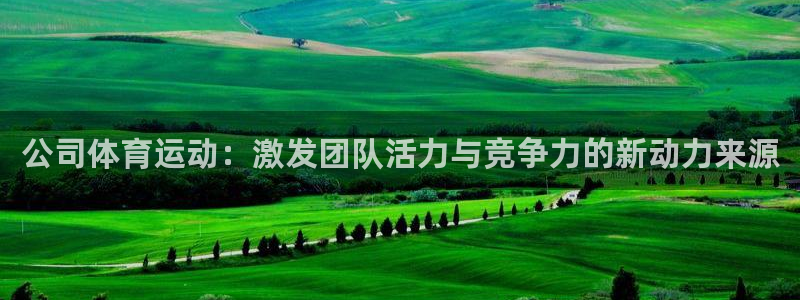 德国一竞技官方正版app集团:公司体育运动:激发团队活力与竞